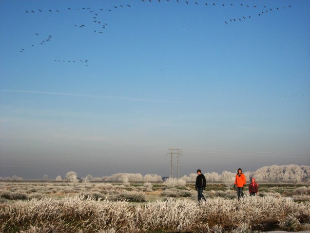 Willemijn leert typen